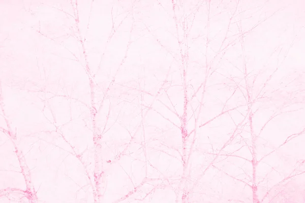 Abstraite Lumière Rose Blanc Fond Couleurs Pour Conception — Photo