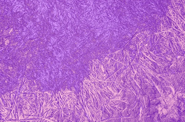Abstracto Violeta Rosa Púrpura Colores Fondo Para Diseño —  Fotos de Stock