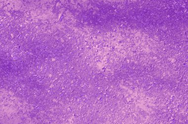 soyut menekşe; dizayn için pembe ve mor arkaplan.