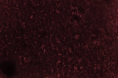 Tasarım için soyut siyah ve kırmızı arkaplan.