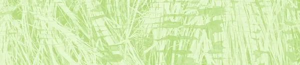 Abstrakcyjny Jasny Zielony Tło Kopia Przestrzeń Dla Projektowanie — Zdjęcie stockowe