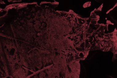 Tasarım için soyut siyah ve kırmızı arkaplan.