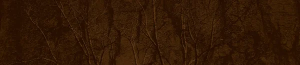 Tasarım için soyut kahverengi grunge arkaplanı.