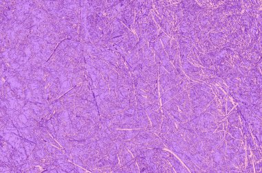 soyut menekşe; dizayn için pembe ve mor arkaplan.