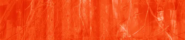 추상적 빨간색 주황색의 디자인 — 스톡 사진