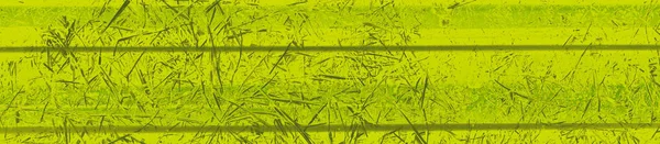 abstract lime and green colors background for design.