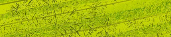 Abstracte Limoen Groene Kleuren Achtergrond Voor Design — Stockfoto