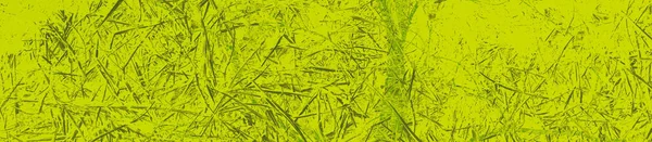 Tasarım için soyut kireç ve yeşil arkaplan.