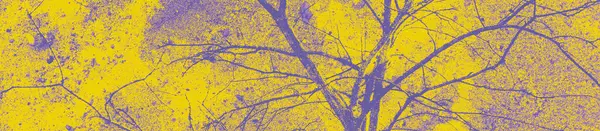 Abstracto Violeta Púrpura Amarillo Colores Fondo Para Diseño —  Fotos de Stock