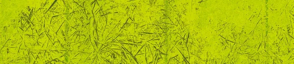 Абстрактный Лайм Зеленый Цвет Фона Дизайна — стоковое фото
