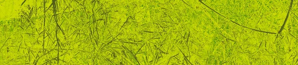 Abstract Lime Green Colors Background Design — Stock Photo, Image