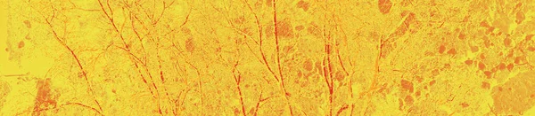 Abstrato Amarelo Laranja Vermelho Cores Fundo Para Design — Fotografia de Stock