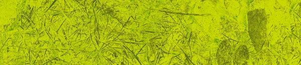 Abstrakcyjne Wapno Zielone Kolory Tło Dla Projektu — Zdjęcie stockowe