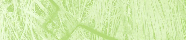 Fondo Verde Claro Abstracto Con Espacio Copia Para Diseño — Foto de Stock