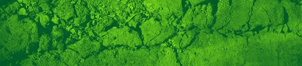 Αφηρημένο Πράσινο Φωτεινό Φόντο Χρώμα Για Σχεδιασμό — Φωτογραφία Αρχείου
