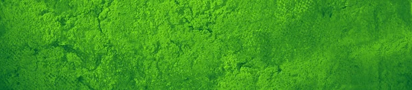 Abstrato Verde Fundo Cor Brilhante Para Design — Fotografia de Stock