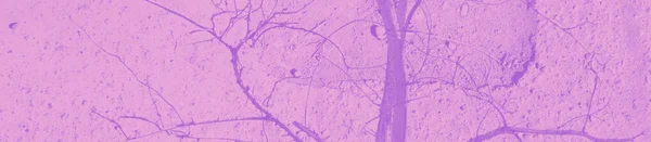 Абстрактний Фіолетовий Рожевий Фіолетовий Кольори Фон Дизайну — стокове фото