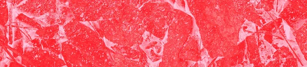 Abstrakt Röd Rosa Och Korall Färger Bakgrund För Design — Stockfoto