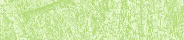Abstrakter Hellgrüner Hintergrund Mit Kopierraum Für Design — Stockfoto