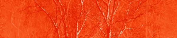 设计用的抽象红色和橙色背景 — 图库照片