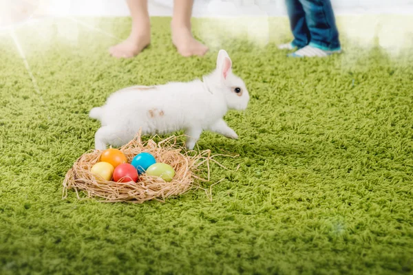 Rolig liten kanin och påsk ägg — Stockfoto