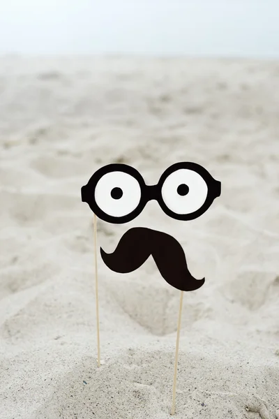 False mustache, funny glasses — Stock Photo, Image