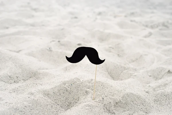 False mustache — Stock Photo, Image