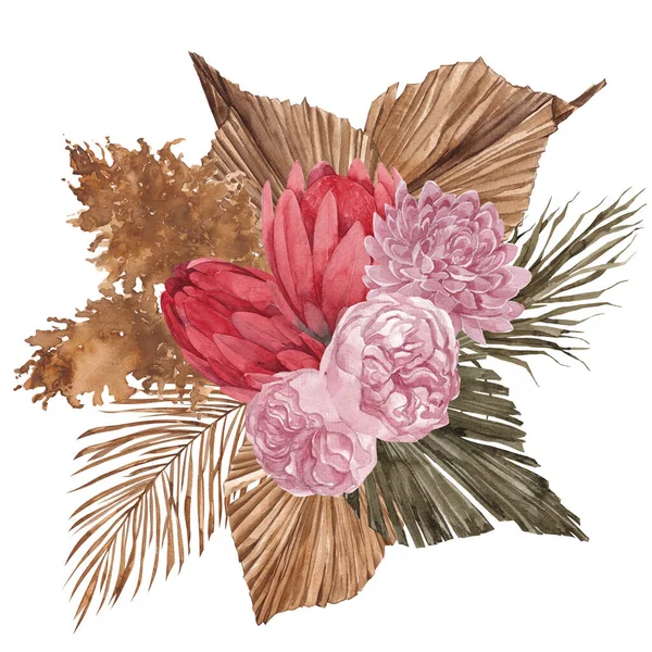 Dried Flowers, Wildflowers Bouqets. Png Illustration with Transparent  Background. Stock Illustration - Illustration of pattern, pink: 274965790