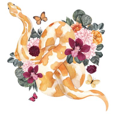 Beyaz arka planda izole edilmiş yılan ve çiçek kompozisyonu ile suluboya çizimi