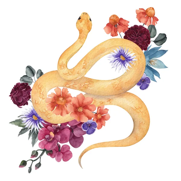 Illustration Aquarelle Avec Serpent Composition Florale Isolée Sur Fond Blanc — Photo