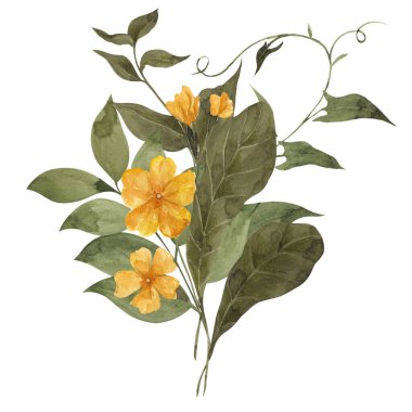 Beyaz arka planda izole edilmiş kır çiçekleri ve orman bitkileriyle suluboya vintage buket.