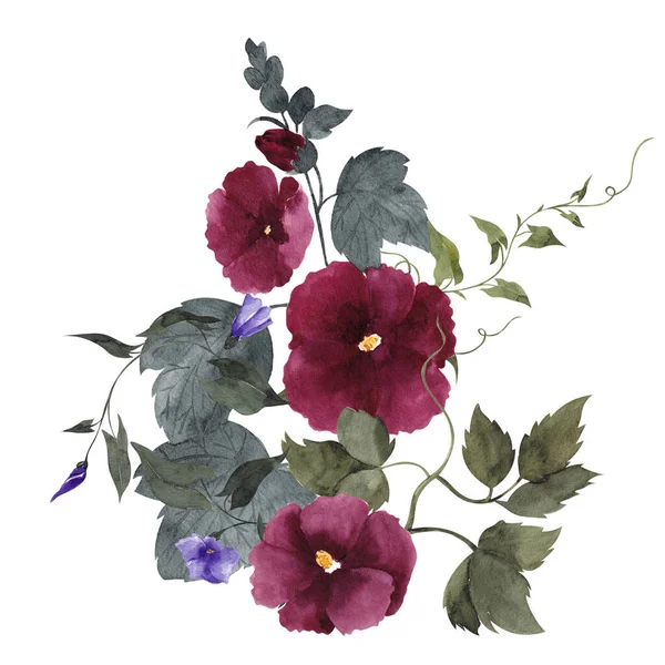 Aquarell Vintage Bouquet Mit Wildblumen Und Waldkräutern Isoliert Auf Weißem — Stockfoto