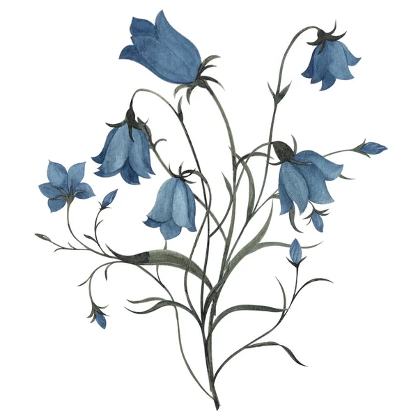 Aquarell Vintage Bouquet Mit Wildblumen Und Waldkräutern Isoliert Auf Weißem — Stockfoto