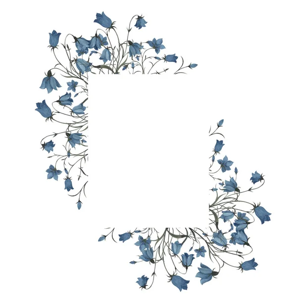 Beyaz Arka Planda Izole Edilmiş Kır Çiçekleri Orman Otlarıyla Suluboya — Stok fotoğraf