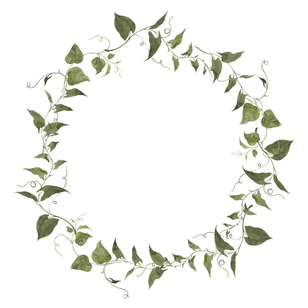 Акварельний Старовинний Ілюстраційний Вінок Лісові Квіти Лісові Трави Ізольовані Білому — стокове фото