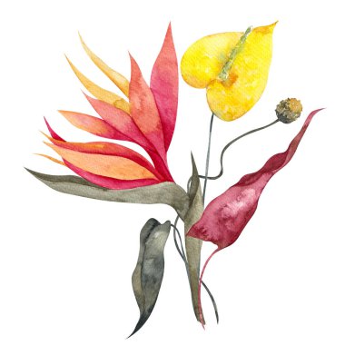 Minimalist çiçek ve yapraklarla suluboya buketi, tropikal çiçekler, beyaz arka planda izole edilmiş.