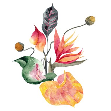 Minimalist çiçek ve yapraklarla suluboya buketi, tropikal çiçekler, beyaz arka planda izole edilmiş.