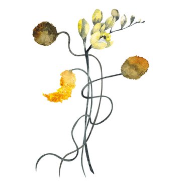 Minimalist çiçek ve yapraklarla suluboya buketi, tropikal çiçekler, beyaz arka planda izole edilmiş.