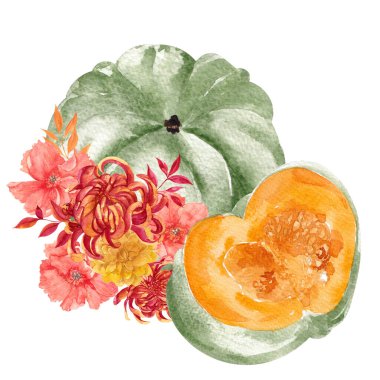 Renkli balkabağı ve sonbahar çiçekleri ve yapraklı suluboya çizimi, beyaz arka planda izole