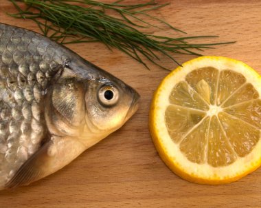 Sazan balıkçılık kupa