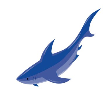 Büyük köpekbalığı çizimi, vektör illüstrasyon