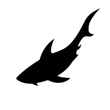 Büyük köpekbalığı çizimi, vektör illüstrasyon