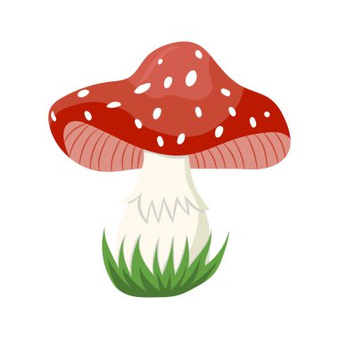 amanita muscaria mantar çizgi film çizim vektörü