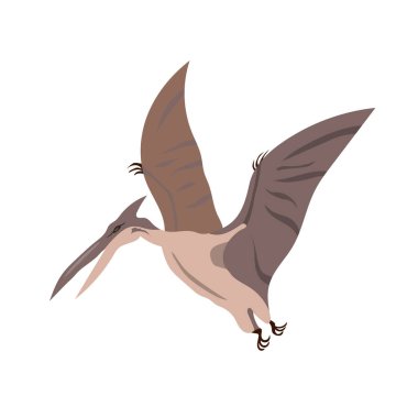 Bir kuşun vektör çizimi