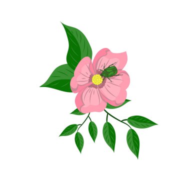 Beyaz arka planda pembe çiçek ve yeşil böcek çizimi