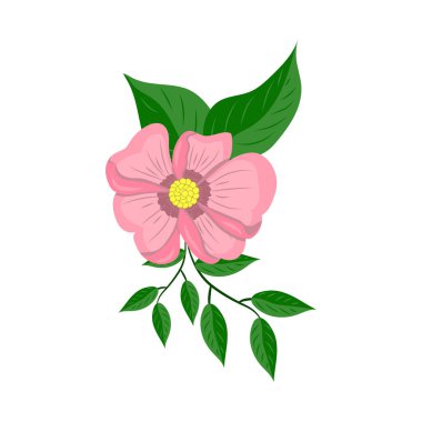 Beyaz arkaplan vektör illüstrasyonunda pembe çiçek