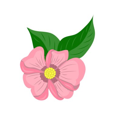 Beyaz arkaplan vektör illüstrasyonunda pembe çiçek