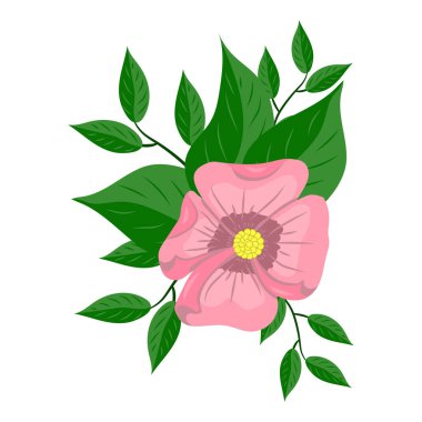 Beyaz arkaplan vektör illüstrasyonunda pembe çiçek