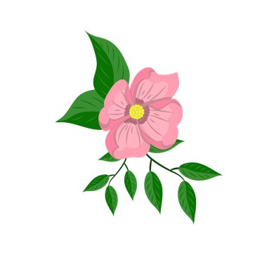 Beyaz arkaplan vektör illüstrasyonunda pembe çiçek