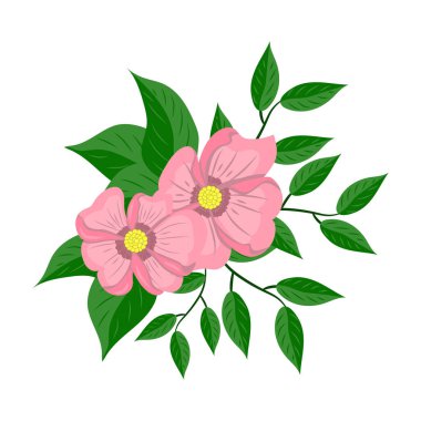 Beyaz arkaplanda pembe çiçekler çiziyor, vektör illüstrasyonu